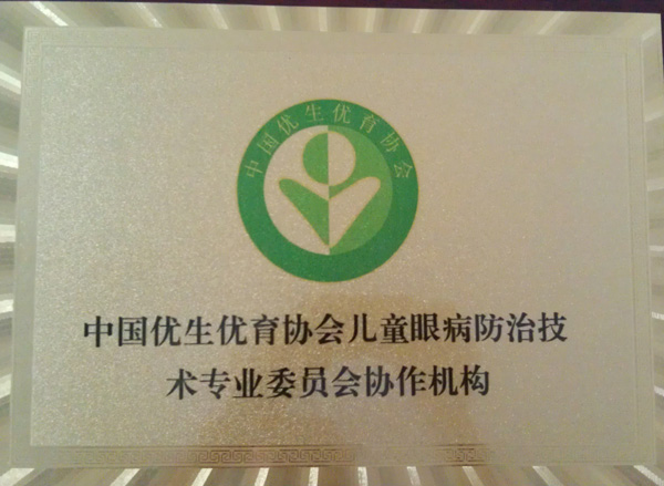 中國優(yōu)生優(yōu)育協(xié)會(huì )兒童眼病防治技術(shù)專(zhuān)業(yè)協(xié)作機構