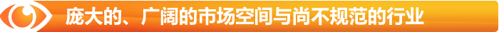 廣闊市場(chǎng)空間與尚不規范的行業(yè)