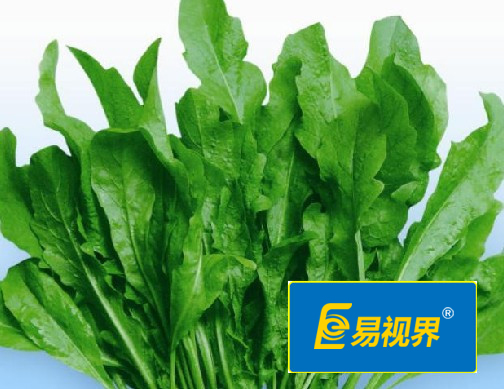 易視界護眼專(zhuān)家 眼睛干澀吃什么對眼睛好