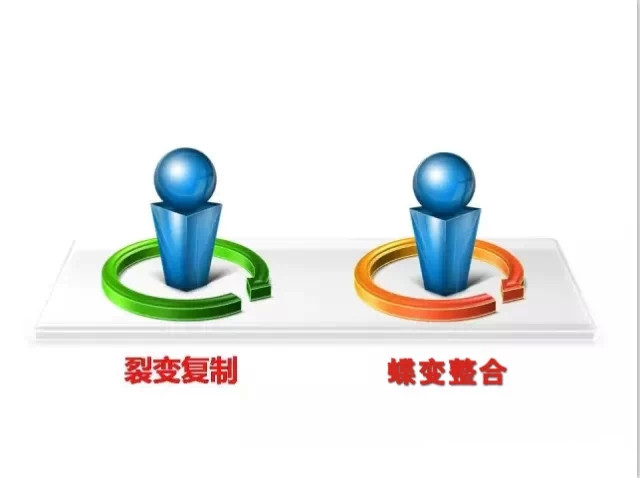 易視界2015戰略發(fā)布會(huì )