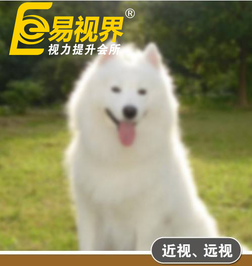 不一樣的眼病，不一樣的世界
