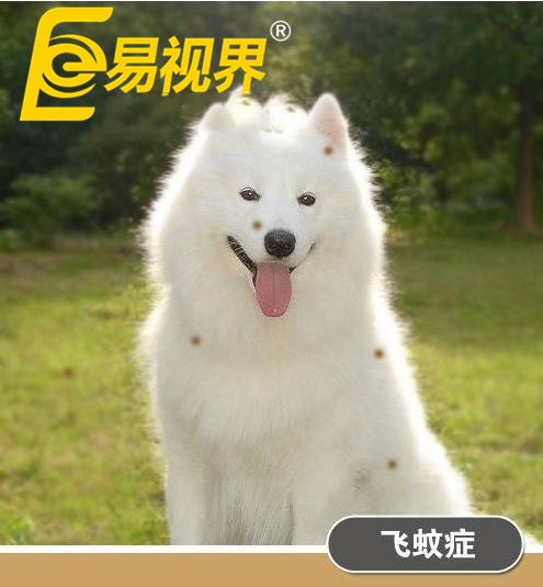 不一樣的眼病，不一樣的世界