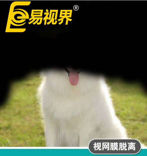 不一樣的眼病，不一
                </div>
                <div   id=