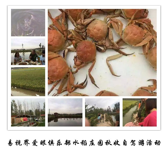 易視界愛(ài)眼俱樂(lè )部水稻莊園秋收自駕游活動(dòng)