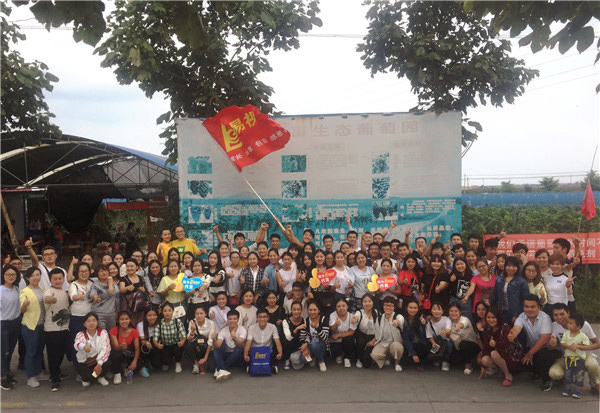 易視界五大戰區葡萄采摘活動(dòng)圓滿(mǎn)結束