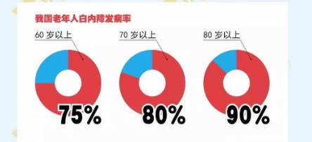 全球致盲的主要原因有哪些？