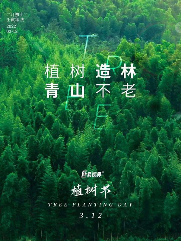 今天是植樹(shù)節